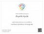 Certifikát Google Ads pro Vyhledávací síť 2024