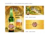 Návrh produktového plakátu a letáku – Czech Beer Royal