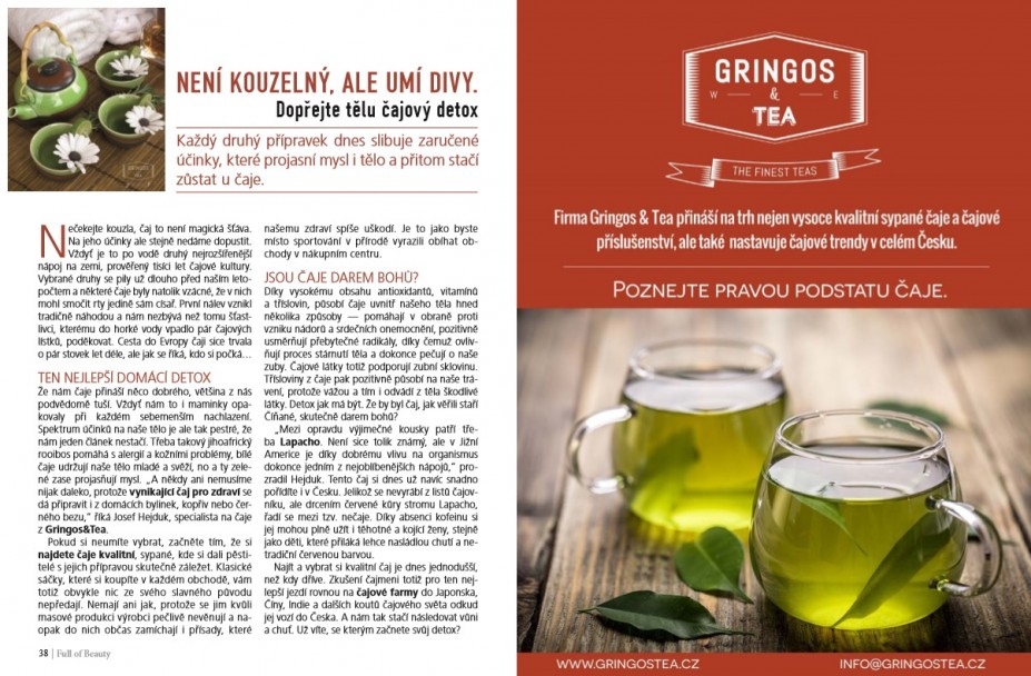 PR článek pro Gringos&Tea