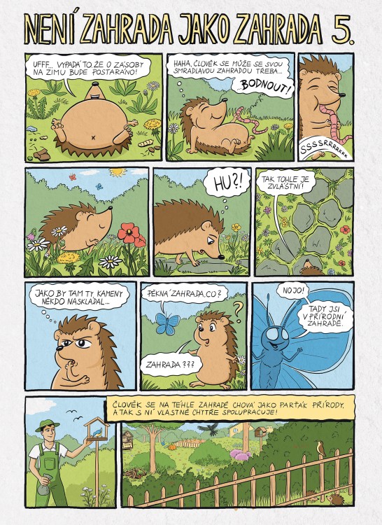 Komiks Přírodní zahrady, ježek (5)