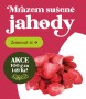Reklamní banner lyofilizované jahody