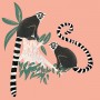 Lemur | digitální ilustrace