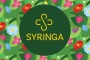 Grafický návrh loga Syringa