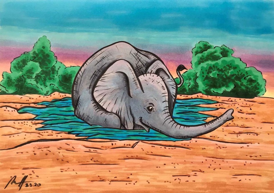 Slon | kresba