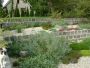 Zahradní terasa | výsadba terásek  (zobrazit v plné velikosti)