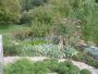 Pohled na skupinu trvalek a nízkých keřů | zahradní architektura