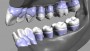 Lidské zuby  (zobrazit v plné velikosti)