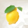 Vektorová ilustrace, origami citrón