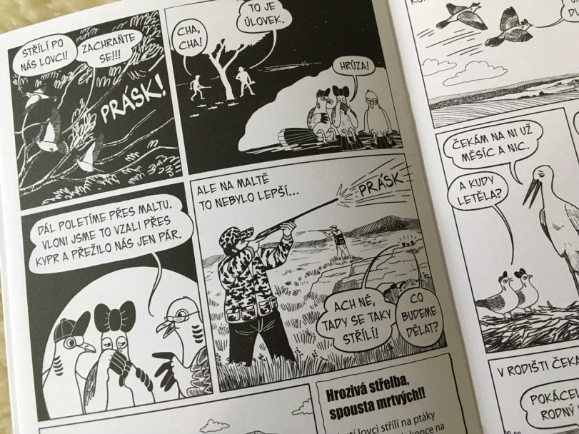 Černobílý komiks pro Ornitologickou společnost