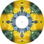 Šimon Chloupek – návrh CD obalu pro Zeffiro  (zobrazit v plné velikosti)