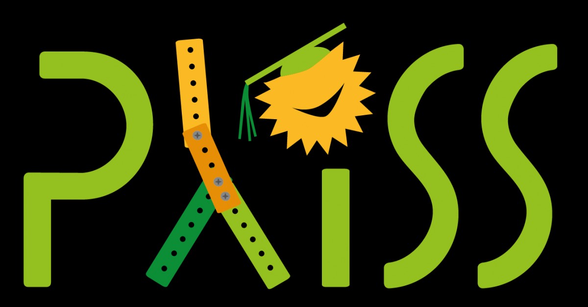 Logo pro letní školu PLISS