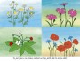 Květinové poučení  (náhled aktuálně zobrazené položky)