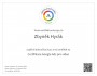 Certifikace Google Ads pro video 2023