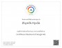 Certifikace Obsahová síť Google Ads 2024