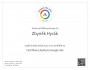 Certifikace Aplikace Google Ads 2024