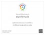 Certifikace Google Ads pro video 2025