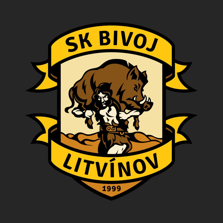 SK Bivoj Litvínov