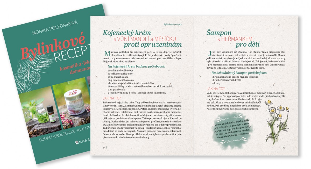 Kniha Bylinkové recepty | Nakladatelství CPress - Albatros Media