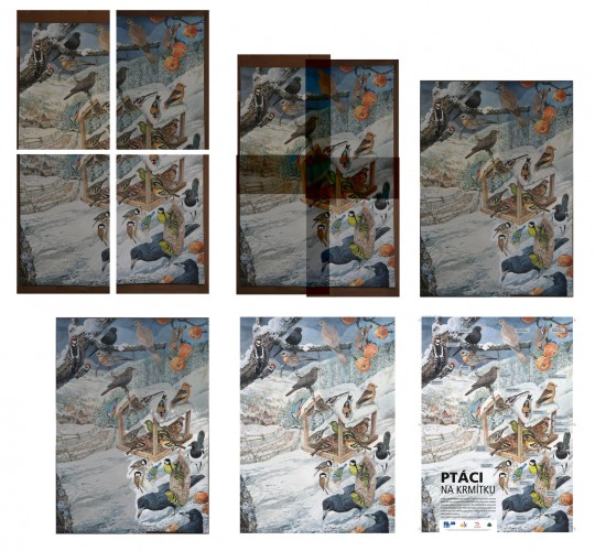 Ptáci na krmítku (převedení nafocené originální ilustrace do tiskové podoby plakátu)