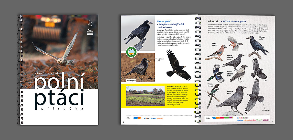 Brožura Polní ptáci – grafická úprava a sazba