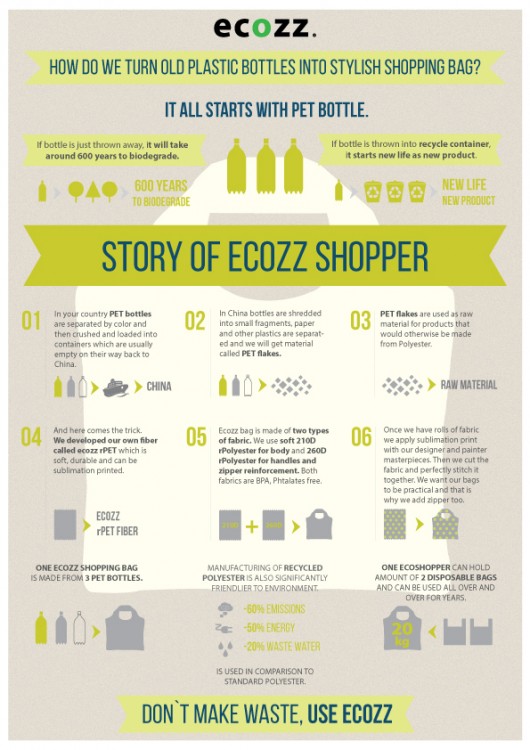 Infografika pro ecobag