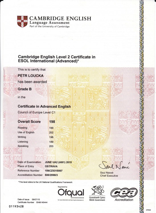 CAE (Certificate in Advanced English)