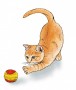 Kočičí omalovánky, ilustrace  (zobrazit v plné velikosti)