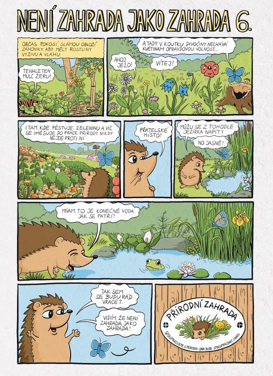 Komiks Přírodní zahrady, ježek (6)