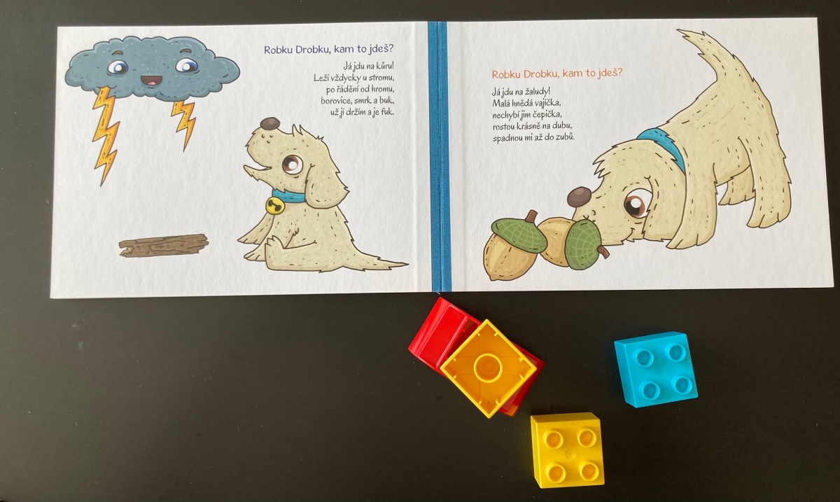 Ilustrace _ kniha _ Robek Drobek