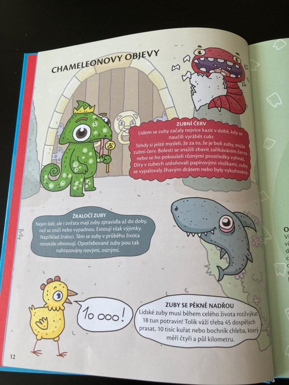 Kniha _ ilustrace Ty Brďo !_ chameleon