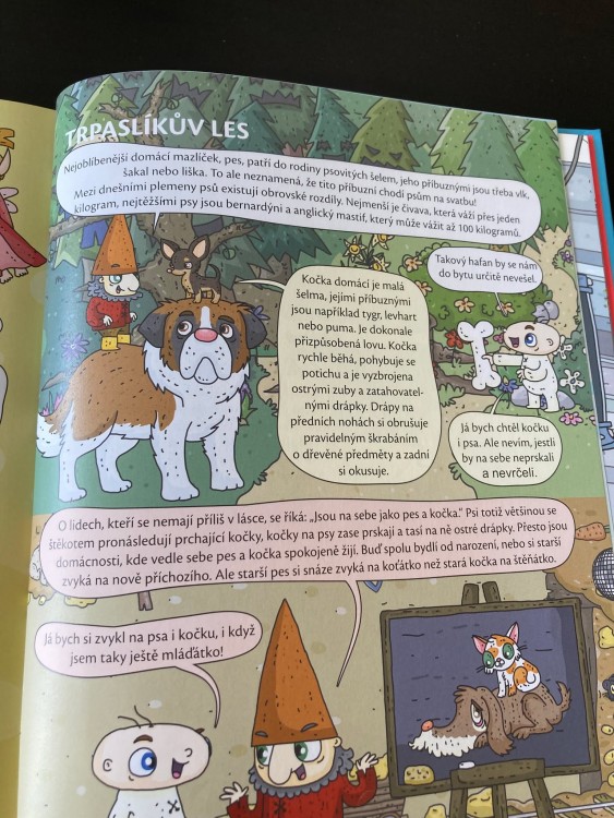 Kniha _ ilustrace Ty Brďo ! skřet