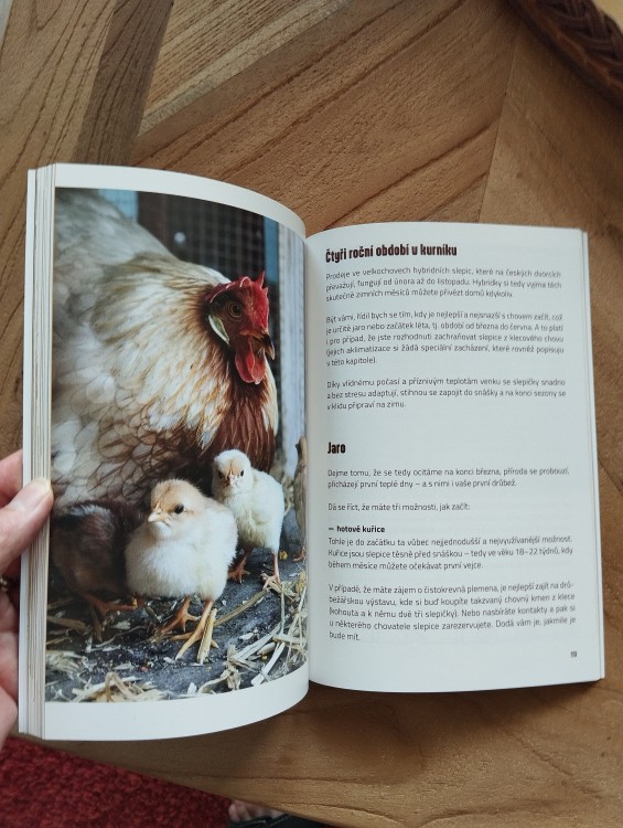 Slepice do města i vesnice (3¨), Albatros Media 2024