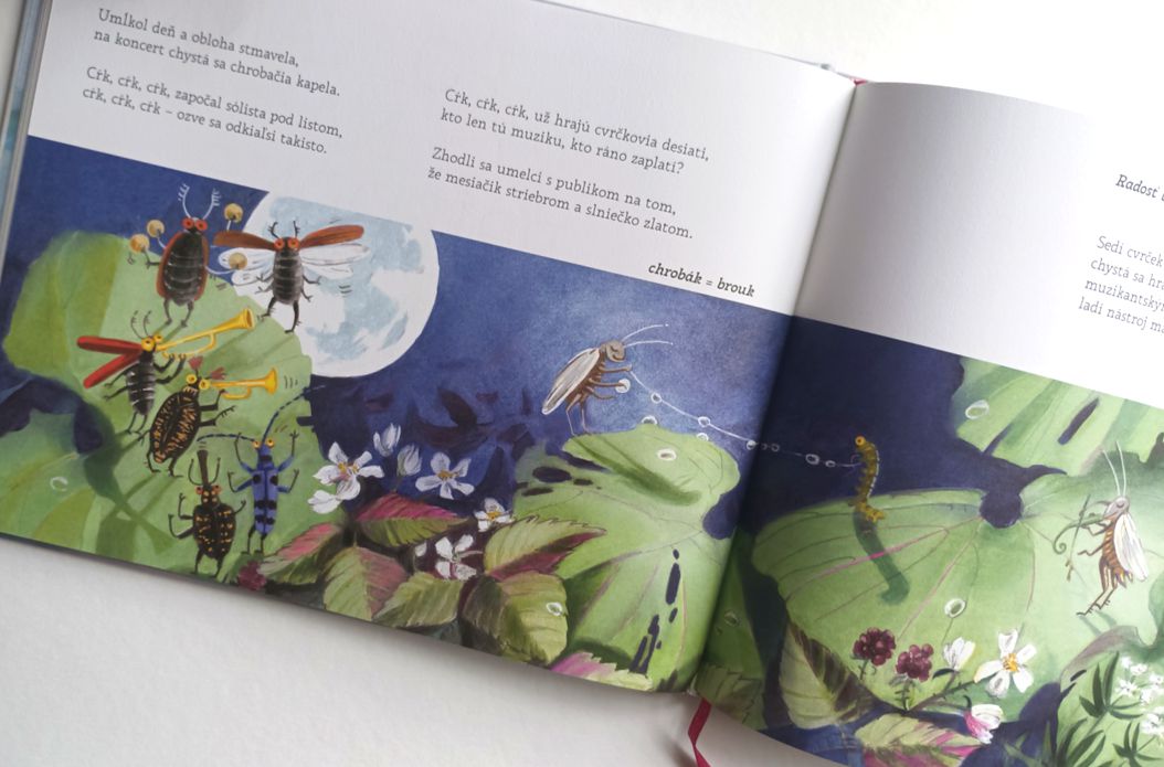 Dvojstrana - Radosť byť