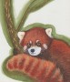 Panda červená | olejomalba