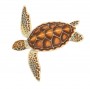 Mořská želva – ilustrace k pexesu