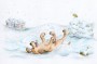 Enzo sáňkuje | ilustrace do dětské knížky ENZO – Medové dny  (zobrazit v plné velikosti)