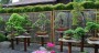 Japonské zahrady, okrasná jezírka, bonsaje, zahradní bonsaje  (zobrazit v plné velikosti)