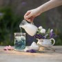 Ledový čaj s mlékem | produktová fotografie pro značku Leros