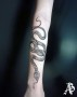 Had | tetování na míru