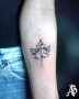 Javorový list na předloktí | tetování na míru