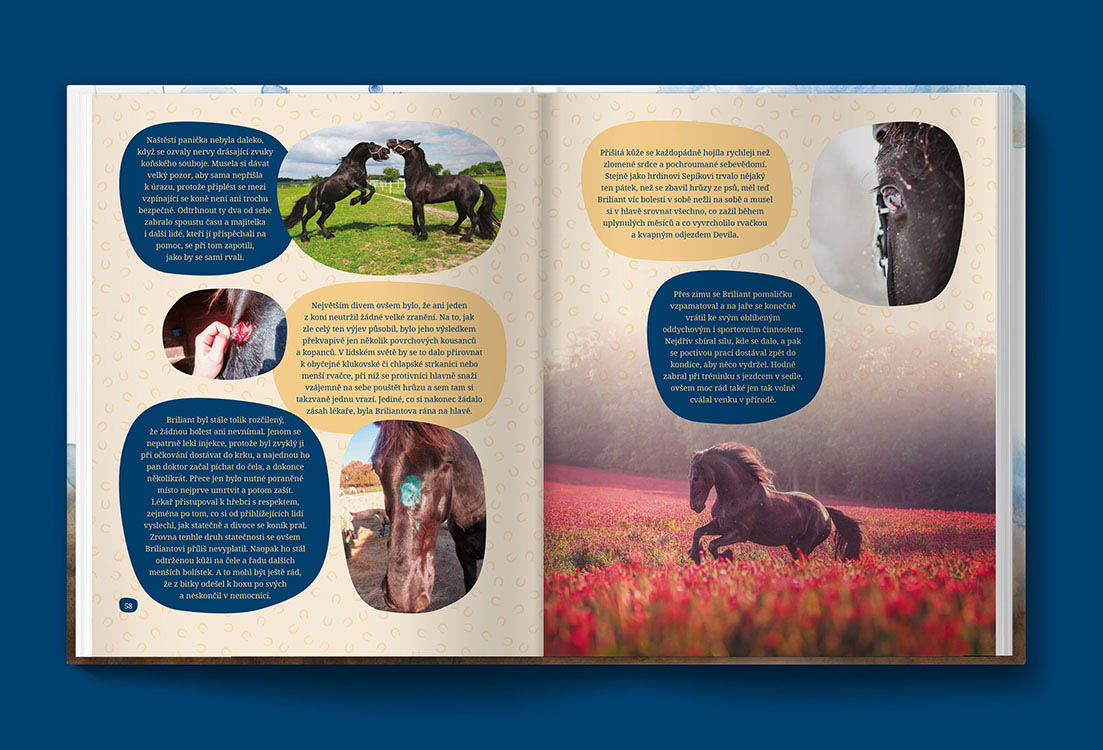 Kniha příběhy statečných koní pro statečné děti