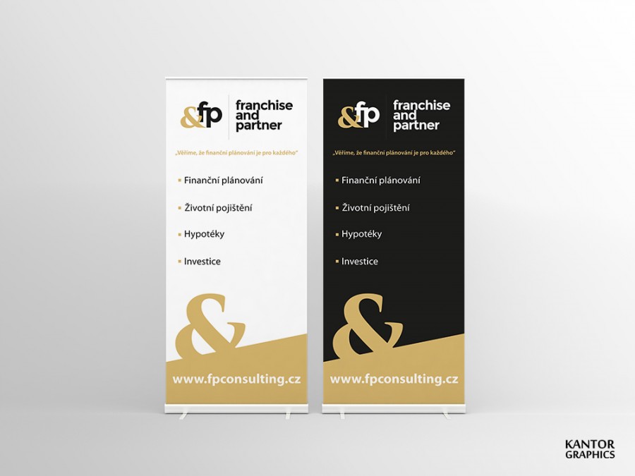 F&P Consulting - Roll up