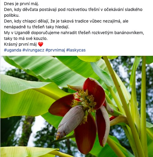 Facebookový příspěvek na stránce Virungo.cz