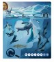 Ilustrace - Kniha - Tajemství moří a oceánů Albi
