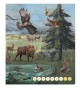 Ilustrace - Kniha - Zvířata Evropa 2 Albi