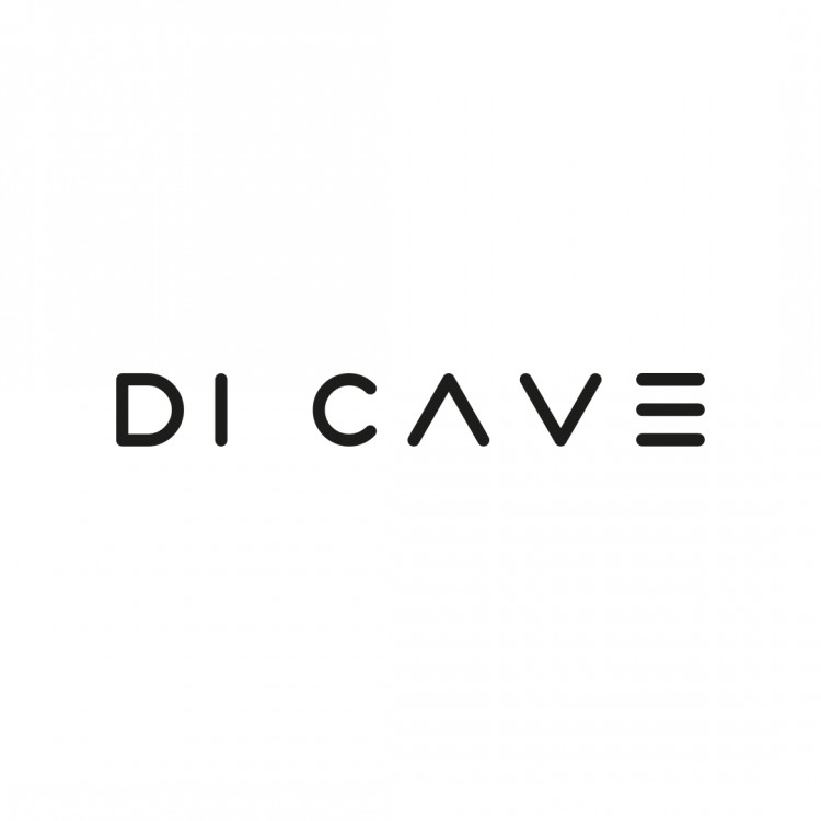 DI CAVE logo