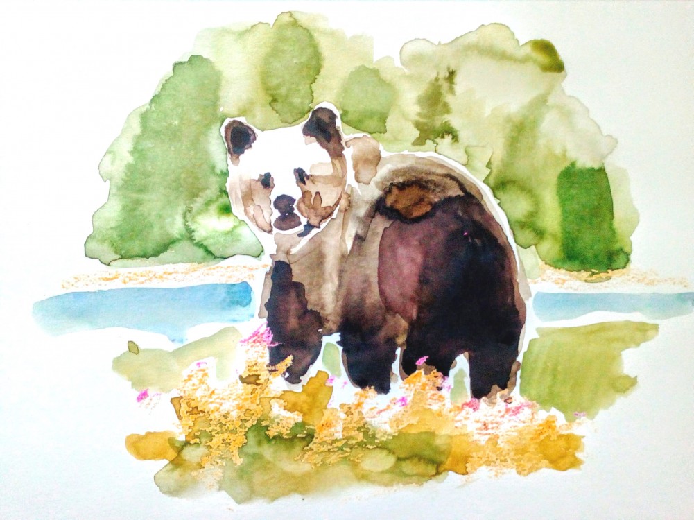Akvarelová ilustrace | medvěd