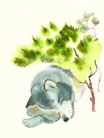 Spící vlk | ilustrace do pohádky Červená Karkulka