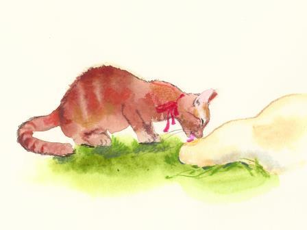 Kočka | ilustrace Hrnečku, vař!