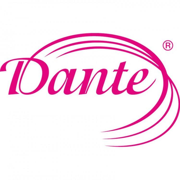 Marketingové práce pro Dante